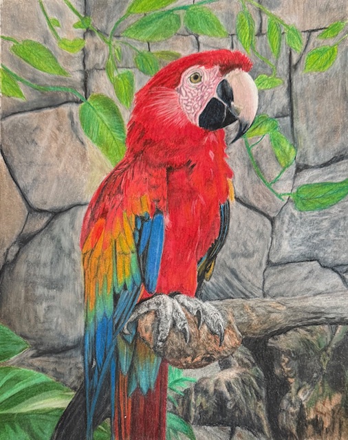 Animals