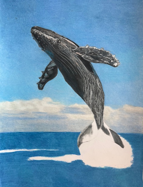 Marine Life
