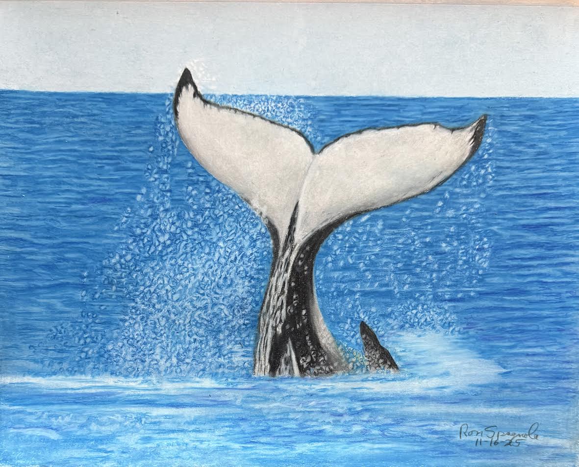Whale Tail